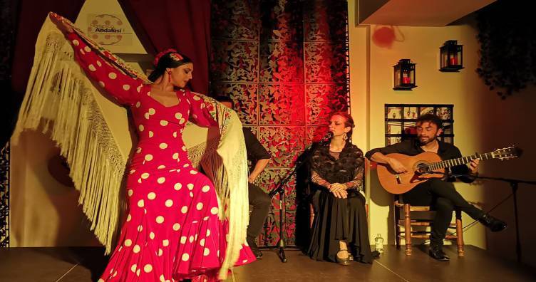 Participate in flamenco nights